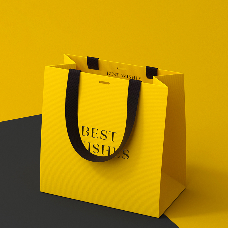 Luxury Paper Gift Bags Customize Reusable Shopping Bags with Logo